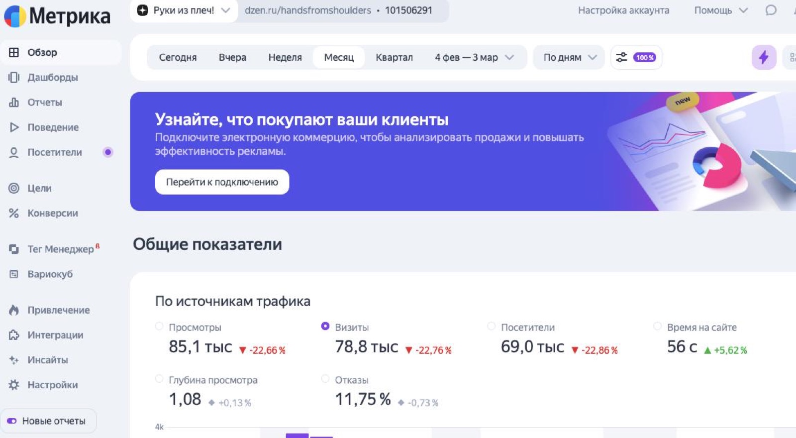 Метрика месяц